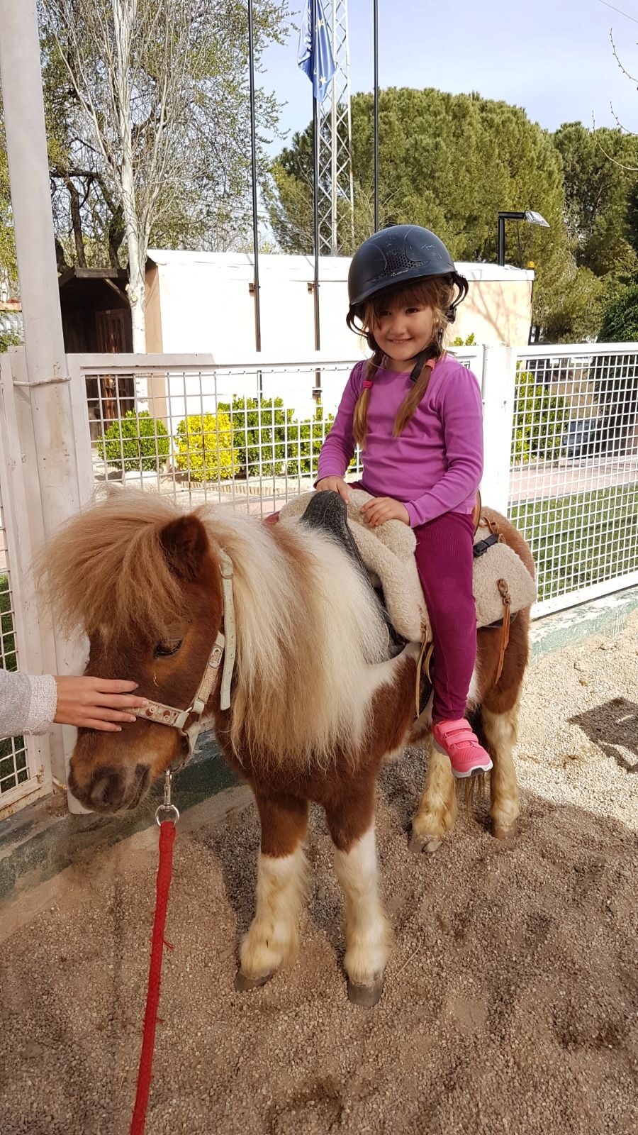 Campamento 2026 en Granja Escuela El Rodeo