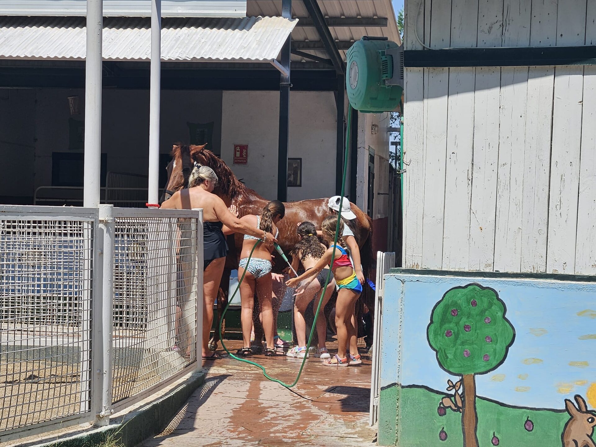 Campamento 2026 en Granja Escuela El Rodeo
