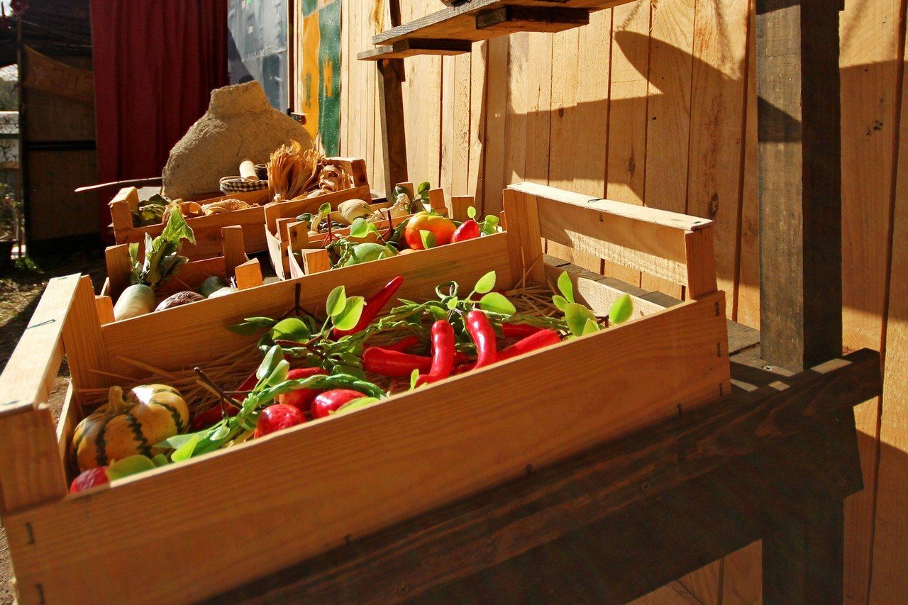 Escenografía de La Edad Media en la Granja Escuela El Rodeo