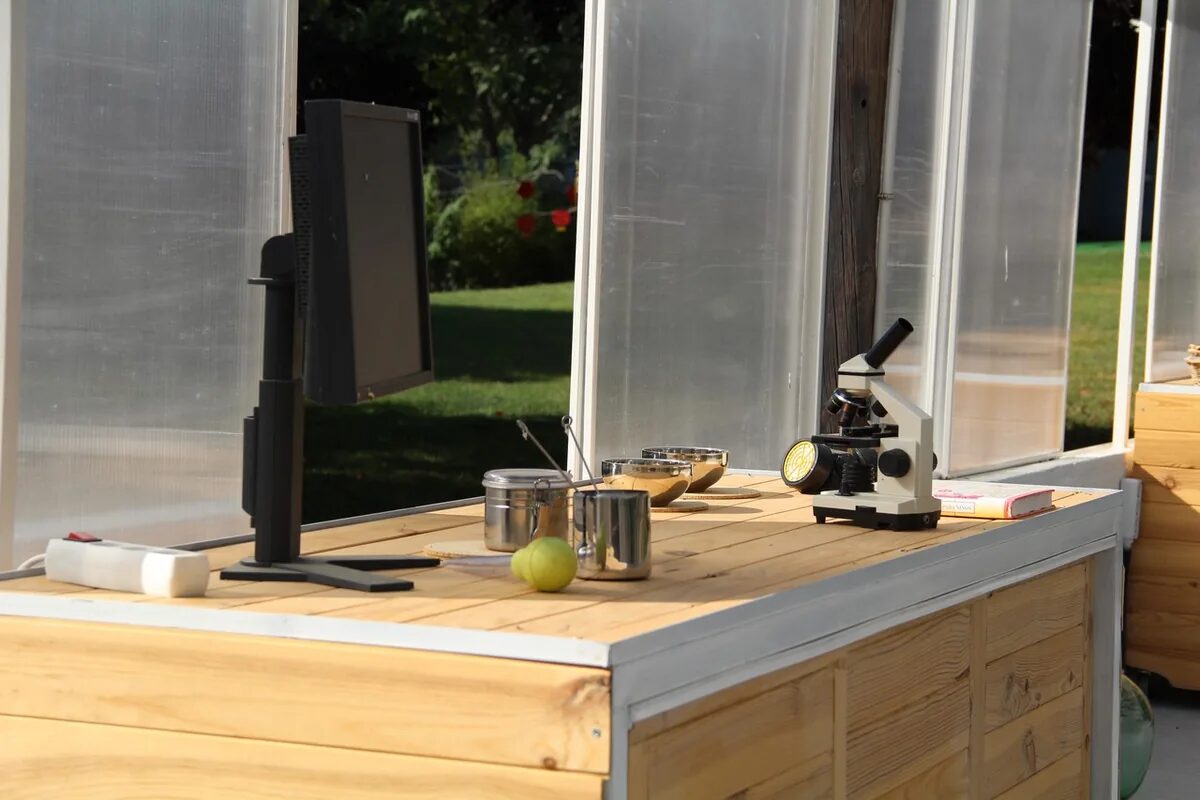 La mesa del microscopio